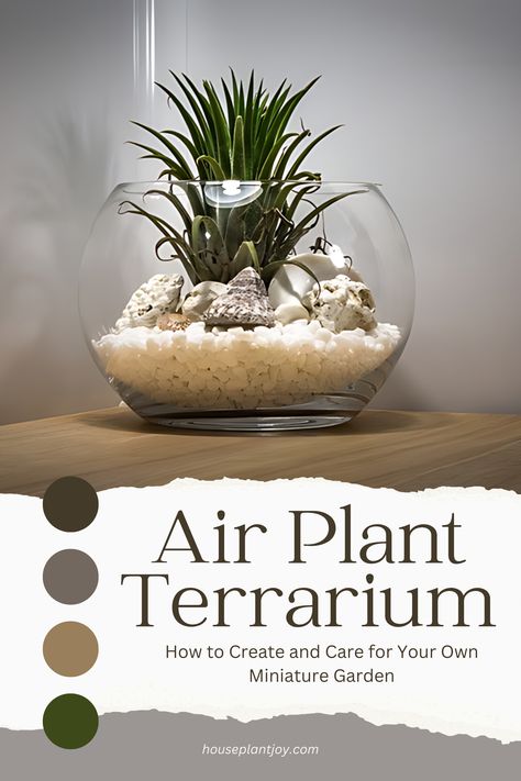 Create a Magical Air Plant Terrarium! 🌿✨

Bring the magic of nature indoors with your own air plant terrarium! These low-maintenance beauties are perfect for beginners and experienced plant lovers alike. Learn how to craft a stunning miniature ecosystem and keep your air plants thriving. Let's get creative! #airplantterrarium #airplants #terrarium #diy #indoorplants #homedecor #lowmaintenance #plantsofinstagram #greenthumb #naturelovers Air Plants Diy Display, Air Plant Display Ideas, Airplant Terrarium, Diy Terrariums, Air Plants Diy, Kim Wedding, Unique Terrarium, Plant In Glass, Plant Display Ideas