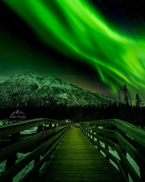 Magical Aurora Over Alaska 💚💚💚 Alaska Photos, Southern Lights, Northern Lights (aurora Borealis), Aurora Borealis Northern Lights, Up To The Sky, Polar Light, Believe In Yourself, Aurora Borealis, Looking Up