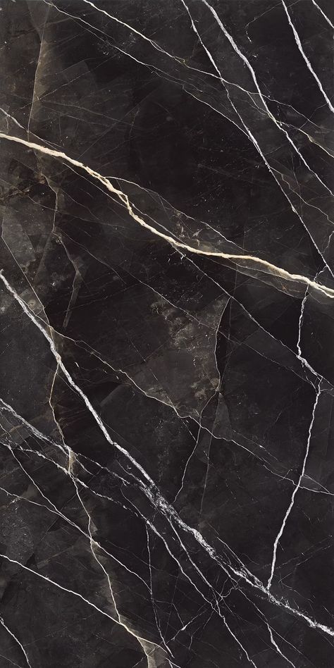 Elemental Selection - Zebra Calacatta Galaxy Colors, Bathroom Design Inspiration, Interior Floor, Marble Granite, Shower Floor, No Boundaries, Breathtaking Views, Interior Spaces, Boundaries