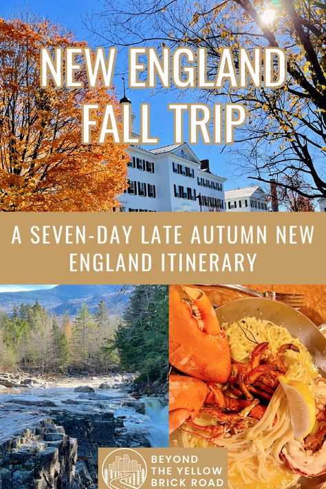 Want a perfect New England fall trip? Wait for the leaves fall! Skip crowds without skimping on autumn fun with my 7-day New England Fall Trip Itinerary. This autumn New England travel guide include restaurant suggestions, fall activities, hiking, and so much more in Massachusetts, New Hampshire, Maine, and Vermot. Make this fall the year you explore the United States beautiful northeast region. Fall Destinations, Fall Wedding Decor, New York City Guide, England Travel Guide, Northeast Region, Fall Getaways, New England Travel, New England Fall, Visit Canada