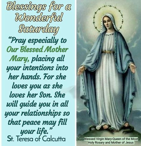 Wednesday Images, Weekly Blessings, Happy Wednesday Images, Saturday Blessings, St Teresa, Mother Teresa Quotes, Saint Quotes Catholic, Mama Mary, Jesus And Mary Pictures