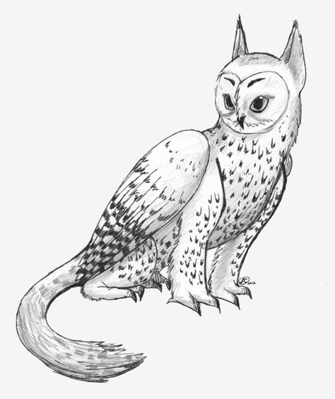 Owl Griffin, Owl Cat, Hybrid Art, Mythical Animal, Creature Drawings, Cute Doodle Art, Mythical Creatures Art, Mythological Creatures, Creature Concept Art