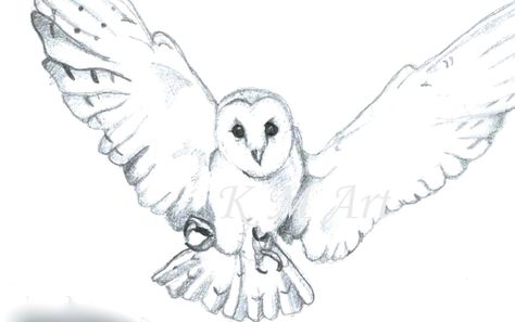 White Owl Drawing, Snowy Owl Tattoo Design, Snow Owl Drawing, Screech Owl Drawing, Owl Drawing Simple, Owl Drawing Black And White, Owl Drawings, Snowy Owl Sketch, Inspiration Poses