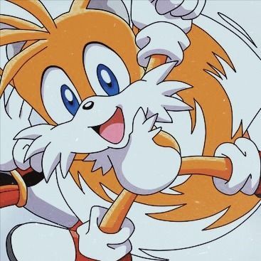 Tails And Shadow Matching Pfp, Shadow And Tails Matching Pfp, Tails Pfp Icon, Tails And Shadow, Shadow Matching Pfp, Tails Pfp, Sonic Matching Pfp, Matching Pfp's, Shadow 2