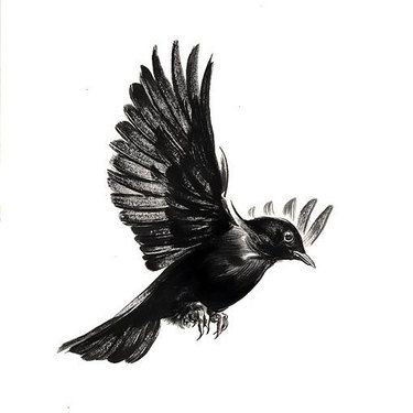 99+ Coolest Bird Tattoo Designs Herren Hand Tattoos, Tattoo Son, Fly Drawing, Vogel Tattoo, Black Bird Tattoo, Flying Bird Tattoo, Flying Tattoo, Small Bird Tattoo, Crow Tattoo