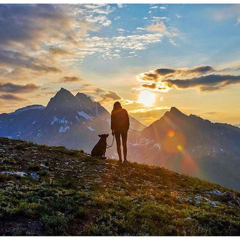 Adventure With Dog, Dog Mountain, Hiking Dog, Adventure Dog, Dog Aesthetic, Hiking Dogs, Dog Adventure, Dog Travel, Dog Photography