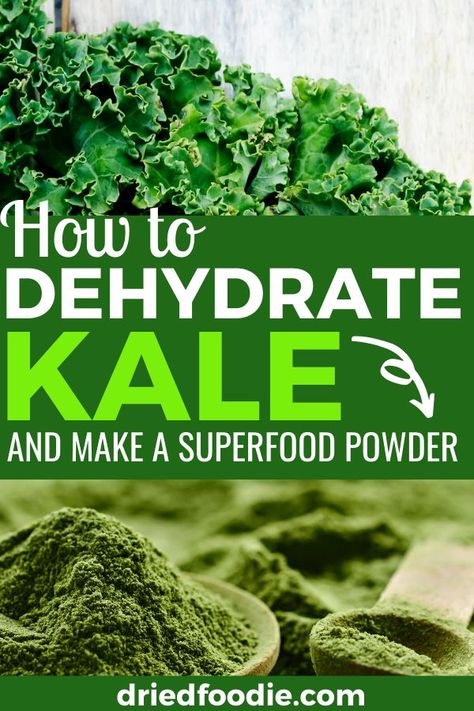 Dehydrated Kale, Benefits Of Kale, Dehydrated Recipes, Dehydrating Food Storage, Kale Powder, How To Make Kale, Food Dehydration, Super Greens Powder, Dehydrated Vegetables