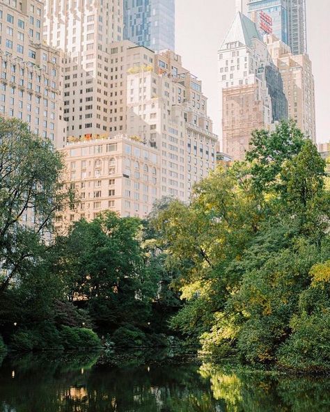 Central Park New York City, Nyc Baby, New York City Wedding, Nyc Aesthetic, Nyc Life, New York Aesthetic, New York Life, City Vibe, Arte Inspo