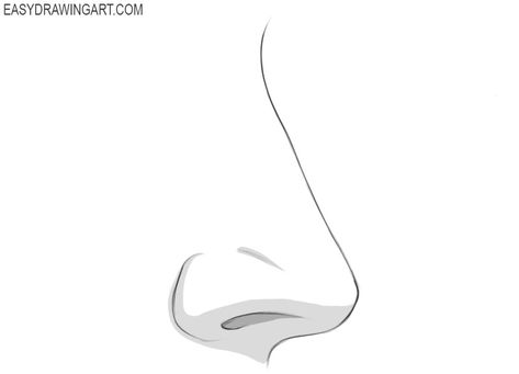 How To Draw A Nose, Draw A Nose, Draw An Eye, Parts Of The Nose, Painted Pictures, Nose Drawing, Basic Drawing, Drawing Tutorials, Smooth Lines