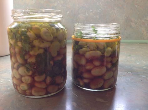 Marinated Fava Beans, Broad Beans, Savory Food, Sunday December, Broad Bean, Fava Beans, Food Stuff, Make It Through, My Garden