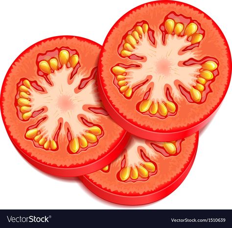 Tomato Slice Drawing, Tomato Vector, Diy Paper Toys, Diy Rock Art, Tomato Seeds, Paper Toys, Diy Paper, Fruits And Vegetables, Sugar Cookies