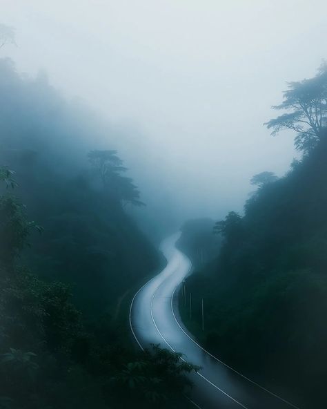 As the fog rolls in, the winding paths disappear into a mysterious haze. Every turn feels like an adventure, leading to places unknown. The silence of the mountains, wrapped in mist, brings a sense of calm and wonder. Sometimes, it's not about the destination, but the journey through the clouds. . . . . . #nomadict #uttarakhand #mountainlovers #folkscenery #stayandwonder #outdoorphotography #mountains #landscapephotography #earthofficial #natureaddict #exploretheworld #roamtheplanet #beauti... Winding Path, The Fog, Outdoor Photography, The Clouds, The Mountain, The Journey, Landscape Photography, Mist, Planets