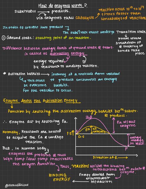 Enzymes Biology, Romantic Study, Goodnotes Ideas, Emt Basic, Sat Tips, Microbiology Study, Algebra Formulas, Biochemistry Notes, Day In A Life