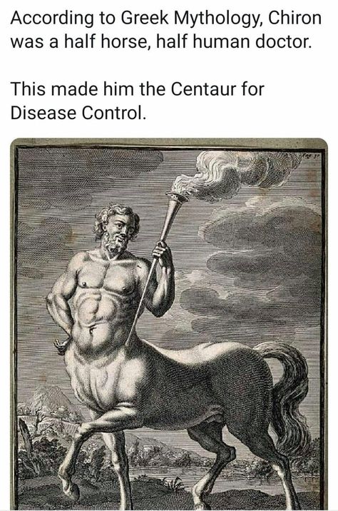 Centaur Half Horse Half Human, The Centaur, Greek Mythology Humor, Disease Control, Greek Myths, Dad Jokes, Greek Mythology, Bones Funny, Popular Memes