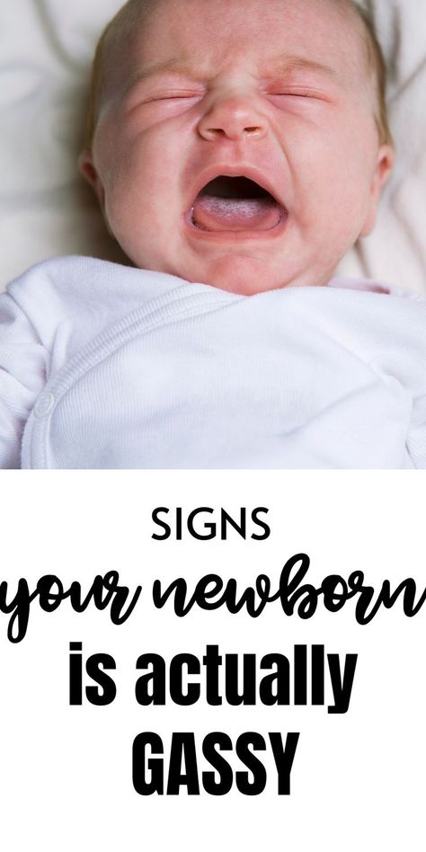 Signs that Your Newborn is Actually Gassy Gassy Newborn, Burp A Newborn, Newborn Gas, Fussy Newborn, Simple Parenting, Newborn Checklist, Gassy Baby, Tummy Issues, Newborn Sleep Schedule