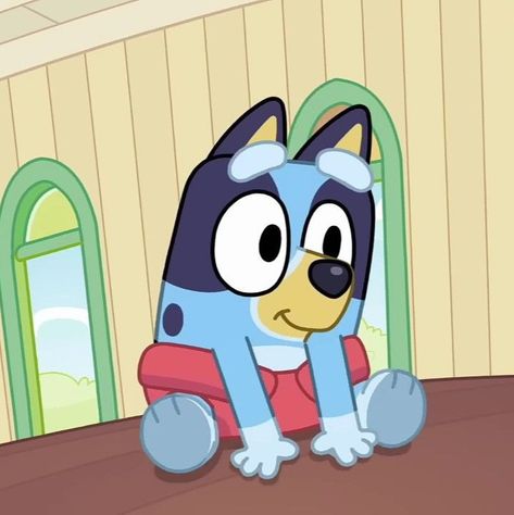 The Bluey And Bingo Family Bluey Screenshots, Bluey Icons, Bluey Funny, Bingo Pictures, Bluey Wallpaper, Bluey Art, Bingo Funny, Jojo Siwa Bows, Bluey Family