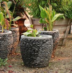 Pebble Mosaic Pots Seaside Garden, Mosaic Pots, Mosaic Flower Pots, Pebble Mosaic, Garden Containers, Mosaic Garden, Diy Plants, Stoke On Trent, Pompeii