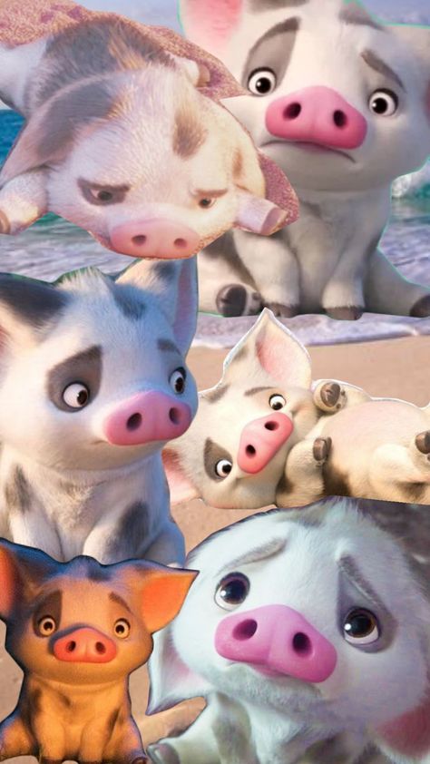 Piggy Pua #Cutie Pua The Pig Moana, Moana Pig Pua, Hei Hei And Pua, Pua Pig, Disney Olaf, Pig Wallpaper, Princess Wallpaper, Disney Collage, Character Aesthetics