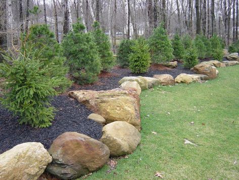 Large Yard Landscaping, Privacy Landscaping, Landscaping With Boulders, Rock Garden Plants, Rock Garden Design, Landscaping With Large Rocks, Rock Garden Landscaping, Landscape Plans, Home Landscaping