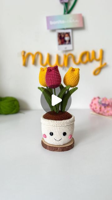 Crochet Home, Flower Pot, Crochet Flowers, Flower Pots, Amigurumi, Crochet, Flowers, On Instagram