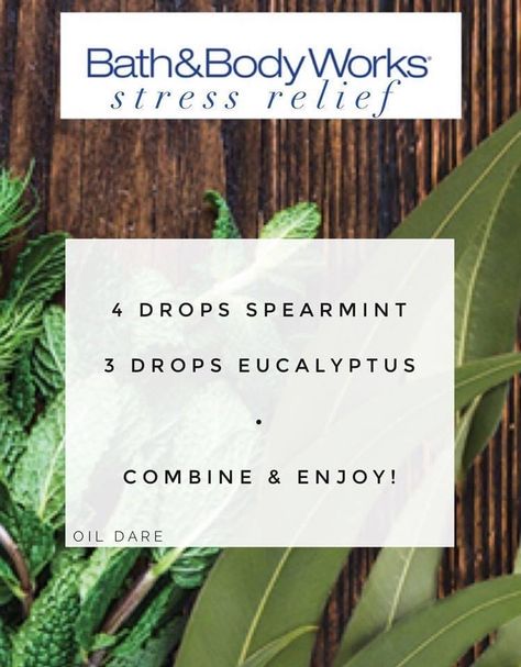 Spearmint Diffuser Blends, Essential Oil Candle Blends, Perfume Oil Recipes, Essential Oil Perfume Blends, Essential Oil Combinations, Essential Oil Diffuser Blends Recipes, Young Living Essential Oils Recipes, Spearmint Essential Oil, Essential Oils Guide