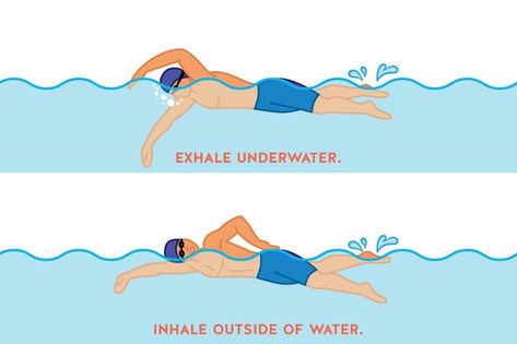 7 Tips to Become a Better Swimmer | Livestrong.com Free Style Swimming, Triathlon Humor, Ironman Triathlon Motivation, Triathlon Quotes, Triathlon Training Program, Triathlon Inspiration, Ironman Triathlon Training, Swimming Pool Exercises, Triathlon Training Plan