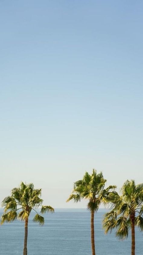 Tropical Summer Wallpaper, Beach Phone Wallpaper, Beach Wallpaper, Summer Wallpaper, Wallpaper Free Download, Beach Aesthetic, Beach Vibe, Free Wallpaper, Aesthetic Backgrounds