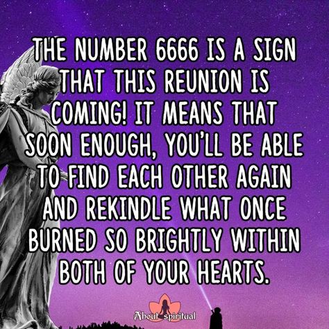 6666 angel number twin flame, 6666, angel number, twin flame reunion 6666 Angel Number, Twin Flame Meaning, Concept Of Love, Am I Crazy, Twin Flame Reunion, Love And Compassion, Twin Souls, Twin Flame Love, Angel Number Meanings