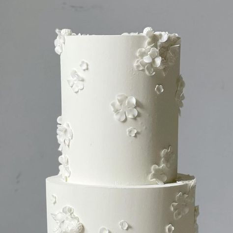 Olga Pysko on Instagram: "Delicate minimal beauty 🤍   #olgapyskocakes #weddingcake #delicate #meticulous #cakeart #florals #twotiercake #love #seattlecakes #cakesofinstagram" Petite Wedding Cake, Wedding Cake With Icing Flowers, Mini White Cake, Clean Wedding Cake, Single Layer Wedding Cake, Minimal Wedding Cake, White Floral Wedding Cake, Wedding Cake Icing, Minimal Beauty