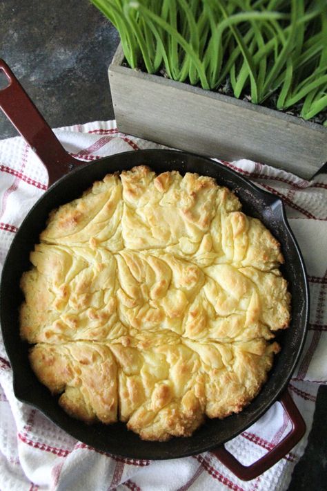 Butter Swim Biscuits, Swim Biscuits, Hot Water Cornbread, Easy Biscuit, Kentucky Butter Cake, Creamy Grits, Beet And Goat Cheese, Salmon Croquettes, Yummy Biscuits