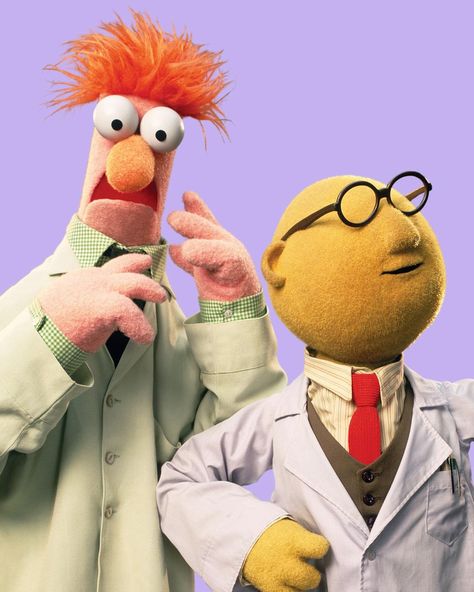 Sesame Street Art, Bunsen And Beaker, Jim Henson Puppets, Muppet Party, The Muppets Characters, Muppets Characters, The Company You Keep, Drawing Anatomy, Fraggle Rock