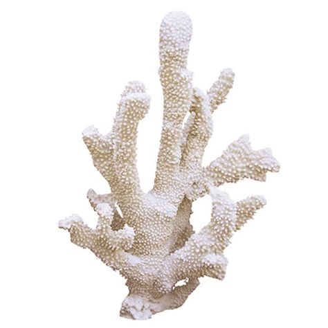 White Coral Art Pieces. Height: 14 Width: 7 Length: 9 Material: Resin Finish:Natural Coral (RA) Beach Therapy, Eclectic Chic, Coral Art, Mcgee & Co, White Coral, Phone Themes, Beach House Decor, Large White, Wall Collage