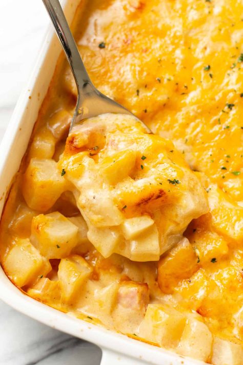 This deliciously cheesy ham and potato casserole recipe is easy to make with leftover ham! It uses pantry seasonings, and the potatoes don't need to be cooked first. Leftover Baked Ham Recipes Dinners, Simple Winter Dinners, Easy Ham And Potato Casserole, Ham Potato Casserole Recipes, Ham Potato Cheese Casserole, Cheesy Potatoes With Ham, Ham Leftovers Casserole, Ham And Potato Bake, Leftover Thanksgiving Ham Recipes