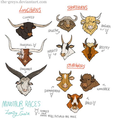 Female Minotaur, Fantasy Races, Dungeons And Dragons Characters, Creature Concept Art, Arte Animal, Creature Concept, Philosophers, Creature Design, Creature Art