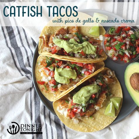 Catfish Tacos Recipes, Catfish Tacos, Grilled Catfish, Easy Taco Recipes, Catfish Recipes, Mexican Night, Avocado Crema, Fish Tacos Recipe, Healthy Tacos