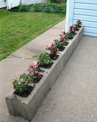 Cinder Block Garden, نباتات منزلية, Landscaping Supplies, Garden Yard Ideas, Backyard Garden Design, Concrete Planters, Desert Landscaping, Small Gardens, Yard Ideas