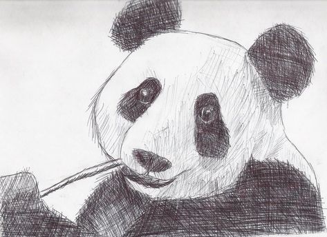 Sketch Assignment- Animal Cross-Hatching by Dogda.deviantart.com on @DeviantArt Cross Hatching Drawing Easy, Cross Hatching Drawing Sketches, Cross Hatching Drawing, Panda Sketch, Hatch Art, Easy Mandala, Bff Poses, Easy Mandala Drawing, Bible Doodling