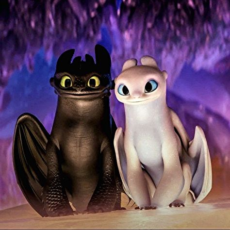 Toothless And Light Fury, Toothless Wallpaper, Baby Toothless, Toothless Drawing, Httyd Toothless, Toothless And Stitch, Zootopia Fanart, Pokemon Charizard, Light Fury