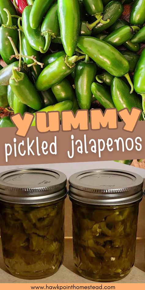 This easy recipe for canning pickled jalapenos is a great recipe with very few ingredients. Pickled jalapenos add a spicy pizazz to so many foods! Nachos, tacos, fajitas, pizzas, hamburgers, hot dogs. My favorite is with my scrambled eggs! They are great in soups and salads also! The options are endless. Homemade pickled jalapenos are so much better than store bought. They are crispy and tangy, sweet and spicy and very addictive! Wonderful right from the jar as a delicious snack. Sweet Pickled Jalapenos Recipe, Pickles Jalapenos Recipe, Canning Pickled Jalapenos, Pickled Jalapenos Recipe Canning, Jalapeno Canning, Pickled Jalapenos Recipe, Jalapeno Salt, Best Pickled Eggs, Sweet Hot Pickles