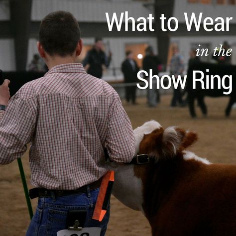 The appropriate attire for the stock show ring Goat Show Outfits, 4h Show Outfits, Show Ring Outfits Livestock, Showmanship Outfit Livestock, Stock Show Hairstyles, Stockshow Outfits Winter, Livestock Show Hairstyles, Pig Show Outfits, Livestock Judging Outfits