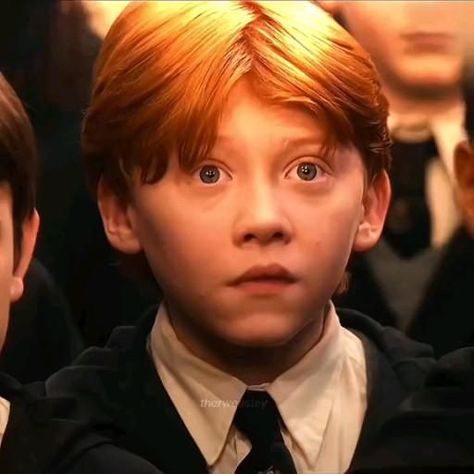 Harry Potter Long Hair, Rupert Grint Ron Weasley, Harry Potter Parody, Ron And Harry, Harry Potter Ron Weasley, Ronald Weasley, Harry Potter Ron, Harry Potter Icons, Harry Potter Scene