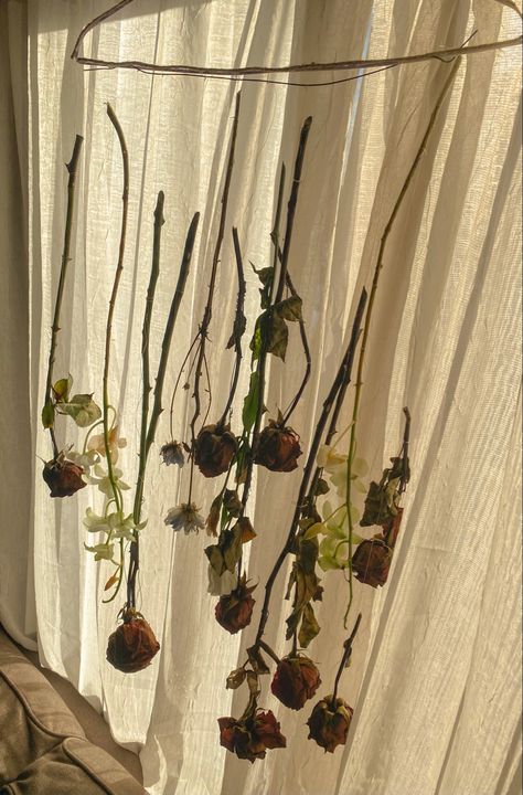 Hanging flowers upside down, DIY home decor Flowers Hanging Upside Down, Dried Flowers Upside Down, Upside Down Flowers Decoration, Hanging Roses Upside Down, Hanging Flowers Bedroom, Upside Down Flowers, Hanging Plant Ideas, Hanging Roses, Hanging Upside Down