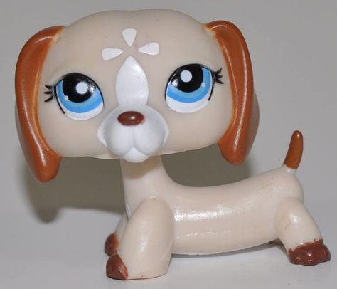 Lps Houses, Lps Dachshund, Lps Accessories, Lps Toys, Lps Pets, Childhood Toys, Cute Toys, Littlest Pet Shop, Cute Dolls