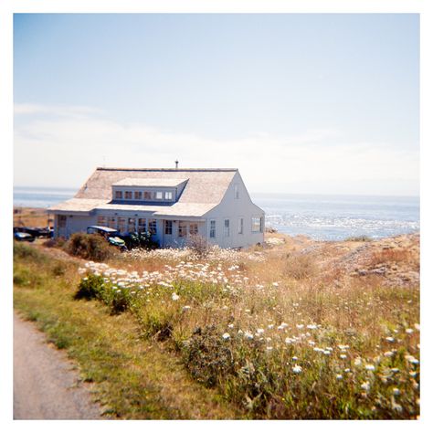 A few square frames from Maisie & Sam’s August wedding on San Juan Island ✨ San Juan Island Wedding, San Juan Islands Wedding, Perfume Aesthetic, San Juan Island, August Wedding, San Juan Islands, Island Weddings, Square Frames, Square