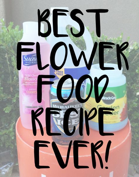 Flower Food Recipe, Homemade Plant Food, Miracle Grow, Diy Lawn, Nail Swag, Flower Food, Best Diy, Diy Plants, Plant Food