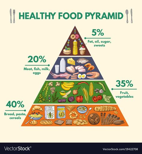 Nutrition Illustration, Healthy Food Pyramid, Pyramid Infographic, Food Pyramid Kids, Healthy Food Pictures, Nutrition Month, Food Infographic, Sport Nutrition, Food Pyramid