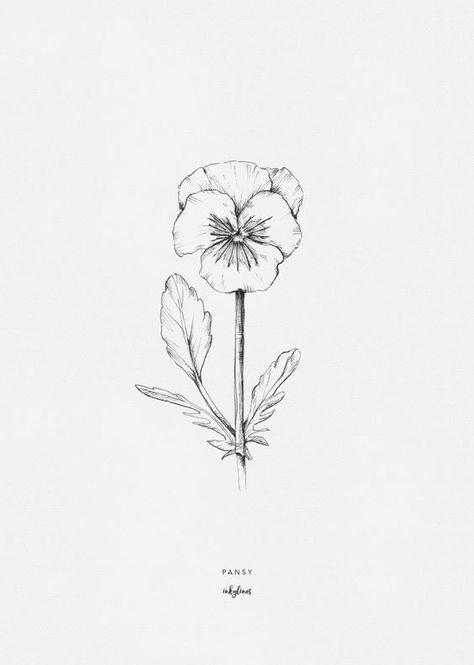 Plants Illustration Art, Pansy Tattoo, Illustration Plants, Plants Illustration, Illustration Nature, Line Art Illustration, Illustration Botanique, Illustration Ideas, Floral Drawing