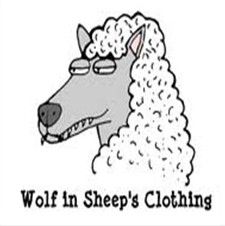 Someone who looks innocent but really isn't. Looks can be deceiving. Looks Can Be Deceiving, Idiomatic Expressions, Sheep Clothing, Sheep, Snoopy, Canning, Fictional Characters, Quick Saves, Art