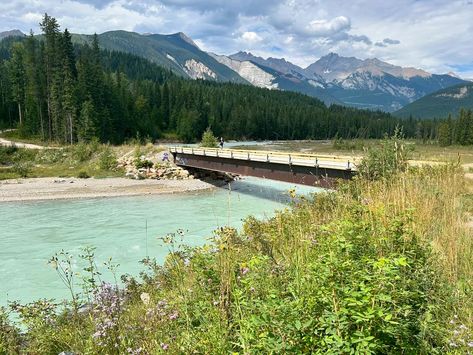 First full day in Golden BC ⛰️💛 #goldenbc #ohcanada #explorebc #beautifulbc #mountainlife Golden Bc, Mountain Life, B + C, August 19, On Instagram, Quick Saves, Instagram