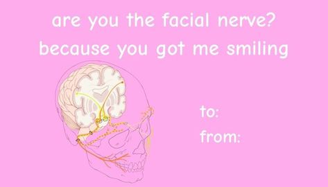 Valentines Day Pick Up Lines Funny, Platonic Valentines Cards, Biology Pickup Lines, Funny Pickup Lines, Science Pick Up Lines, Valentines Pick Up Lines, Pick Up Line Memes, Funny Valentines Cards For Friends, Corny Valentines